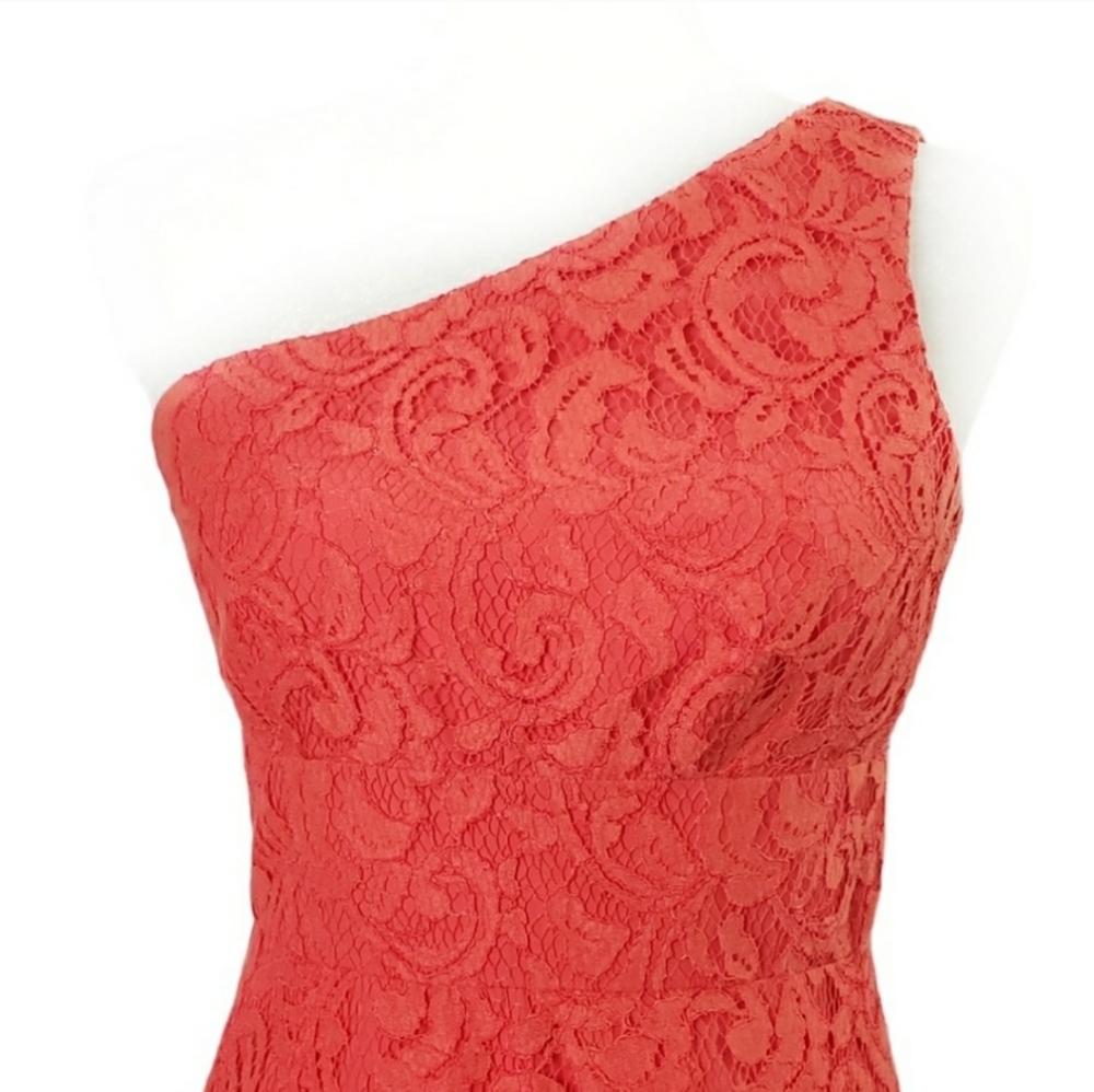 COPY - NWT J. Crew Alexa Dress in Leavers Lace - Picture 4 of 13